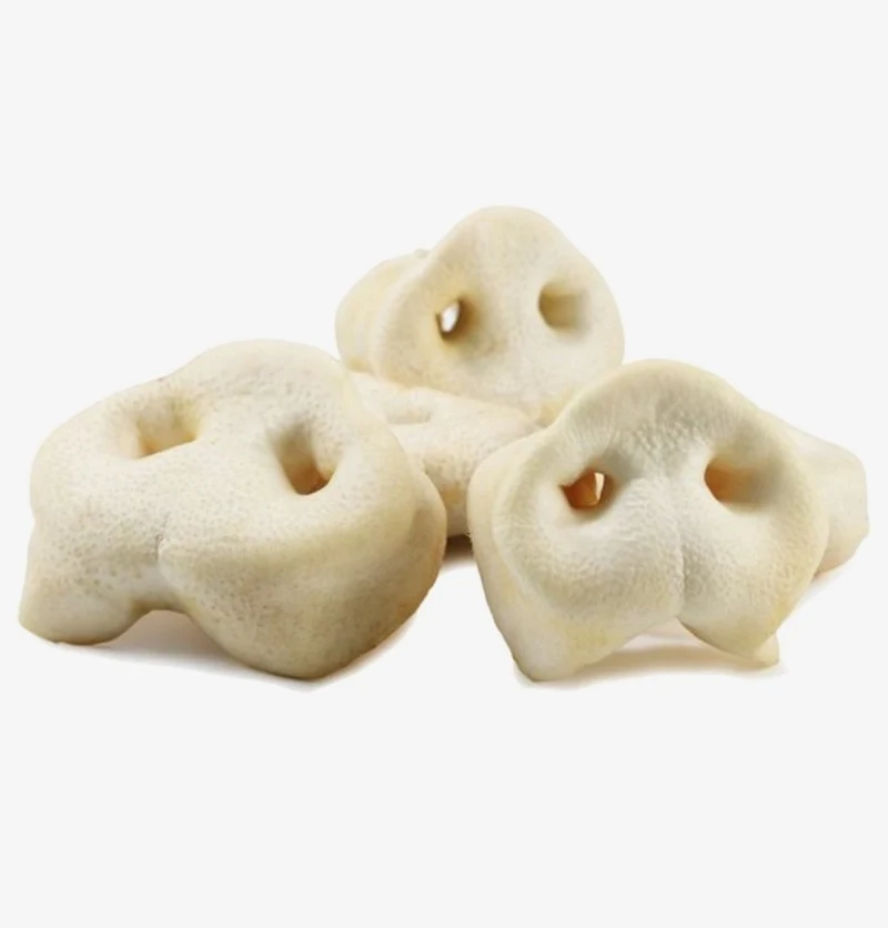 Nez de Cochon Soufflé au Miel - Snack pour Chien - 1 Pièce