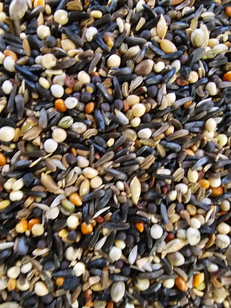 Conditionnement graines 1kg ( 216 ) - Hobbyfarm Hoebregts