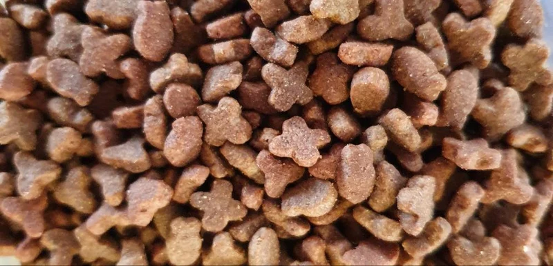 Menu Régulier Chat 1kg | Duvo+ (auto-emballé)