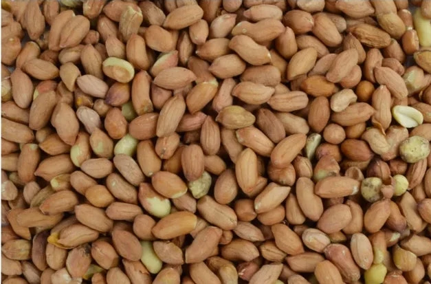 Cacahuètes pelées 1kg - Garden Heroes