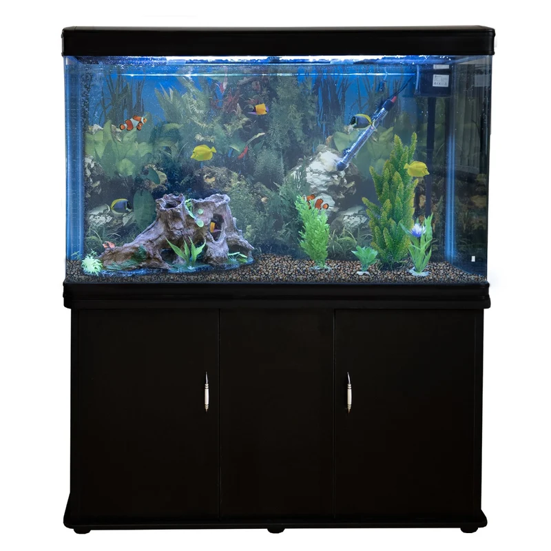Aquarium Noir, Meuble de Support & Gravier Naturel