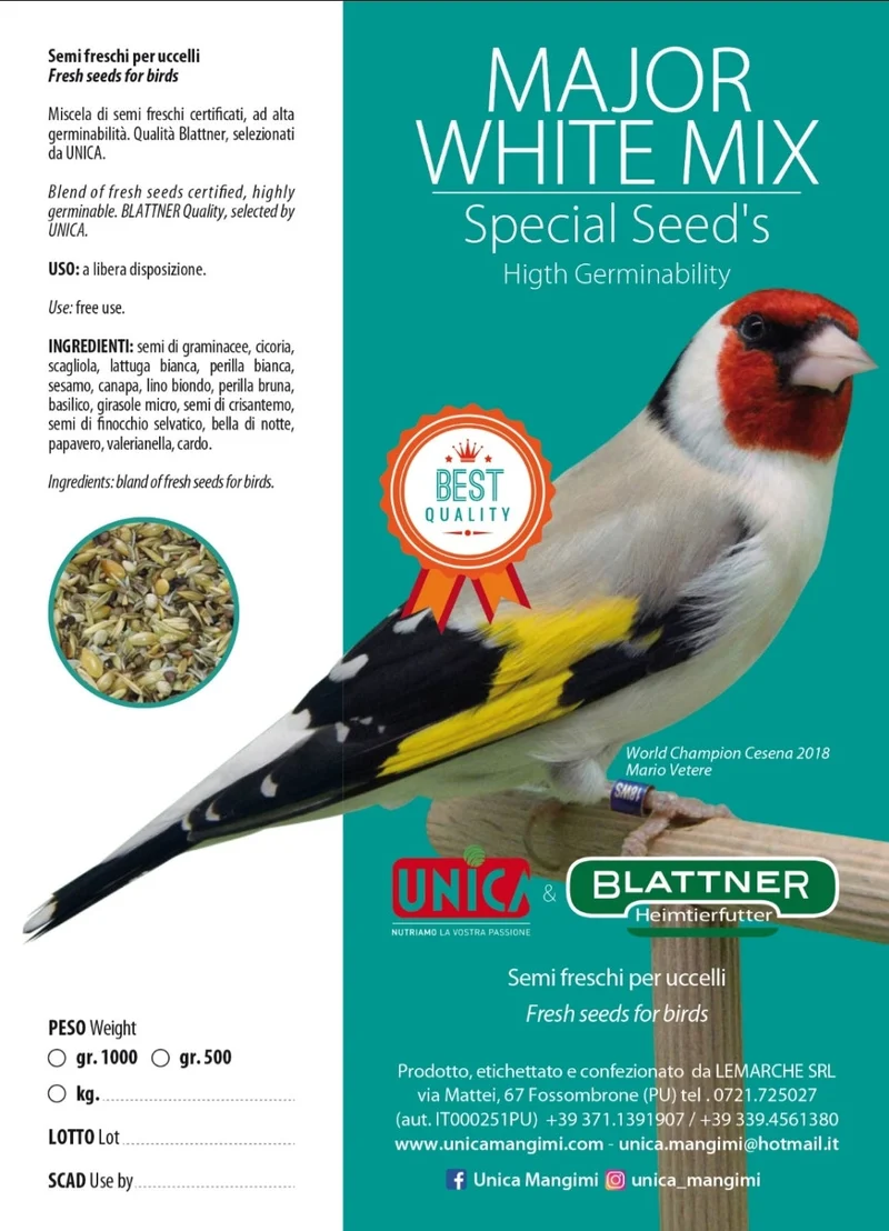 Major White Mix 500 Grammes - Graines Spéciales - Haut Pouvoir de Germination - Unica & Blattner