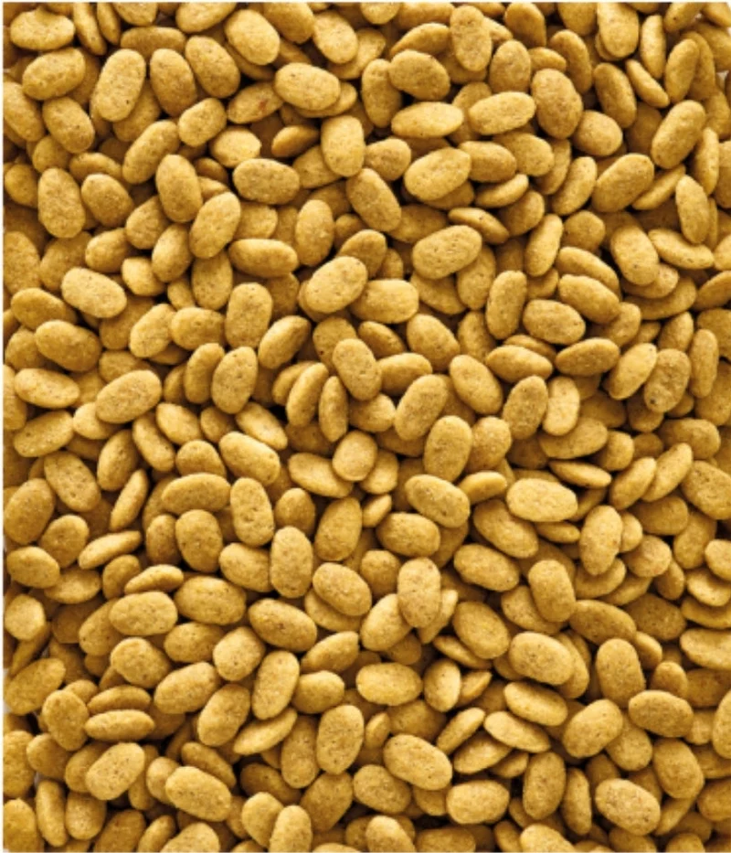 Nutribird P15 original 1kg (autopesé) - Granulés extrudés - Aliment d'entretien pour perroquets
