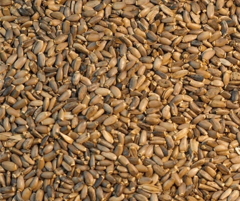 Graines de chardon-Marie 500 grammes - Bird-X Grizo