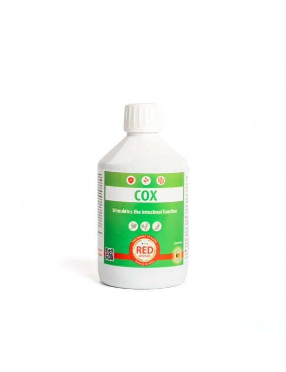 Cox (Santé Intestinale) 500ml - Animaux Rouges