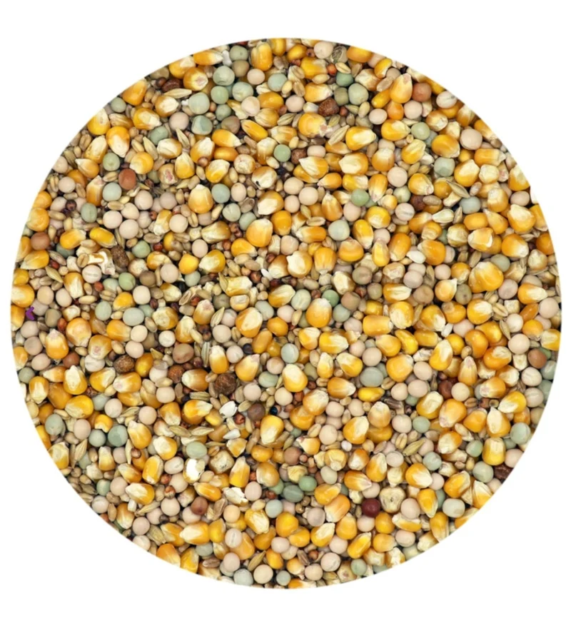 Classic 4 Seasons - Nourriture pour pigeons - 5 kg - Versele-Laga