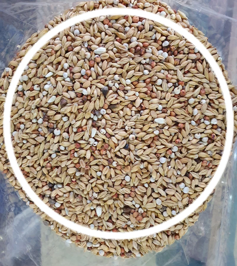 Etalon de purification 5 Kg Mariman - Versele Laga