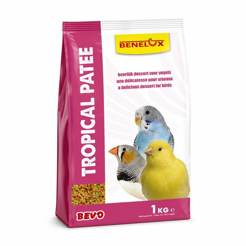 Pâté tropical (mélange de fruits) 1kg - Benelux (à emporter)