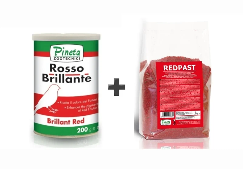 Forfait Combo - Rosso Brillante + Redpast