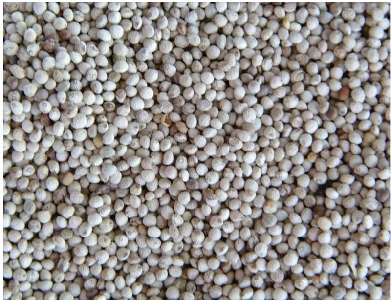 Perilla Blanc 250 grammes