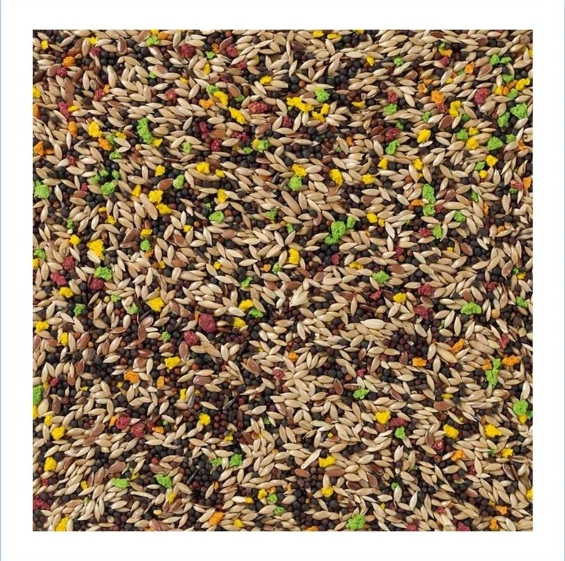 Canari Aux Fruits 5kg Bird-X
