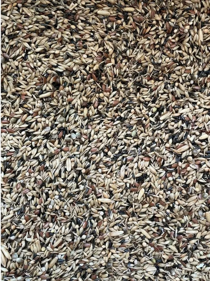 Mélange de qualité King Canary sans colza 1 kg