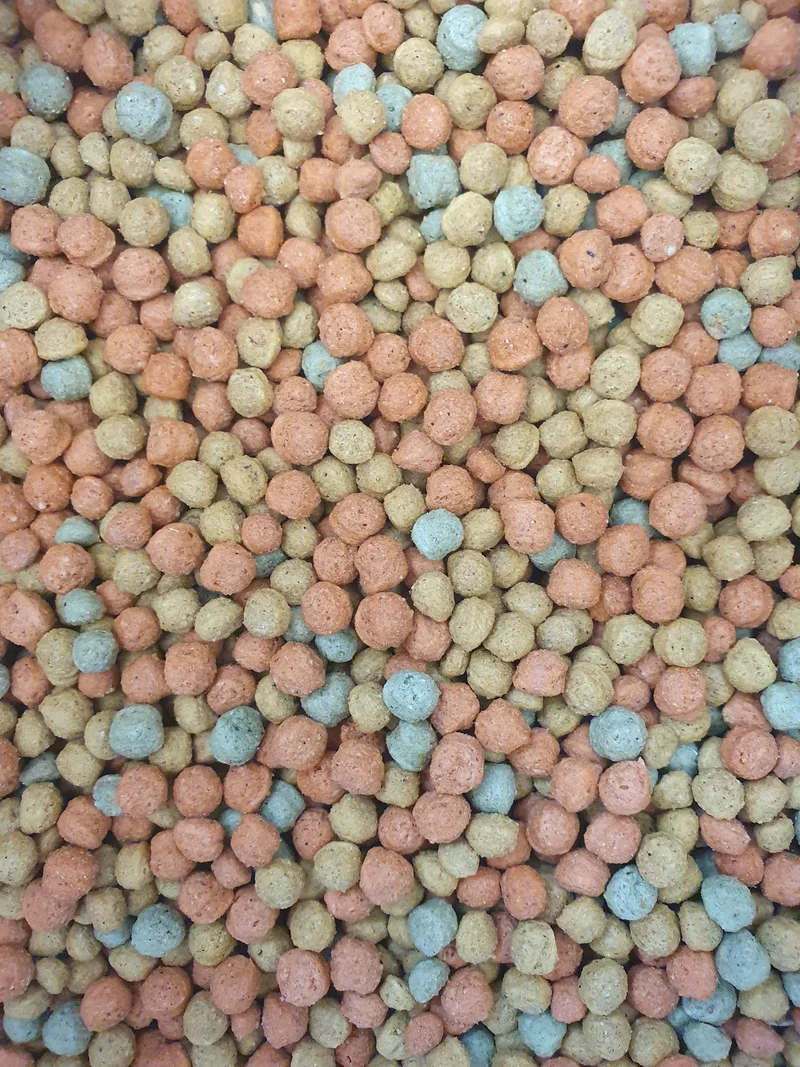 Daily Feed Parrots Medium (mélange de fruits) 1kg - Unica & Meeks
