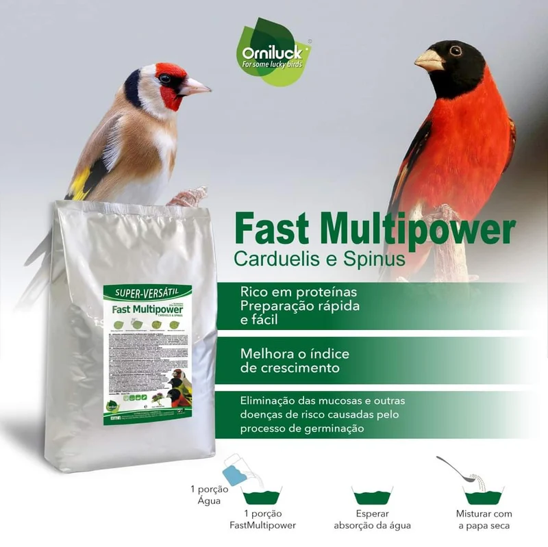 Multi-aliments rapide Carduelis et Spinus 4 kg - OrniLuck - Pâtée aux œufs verte