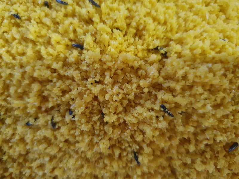 Giallo Morbido 1kg (Avec Miel) - Pineta Zootecnisi