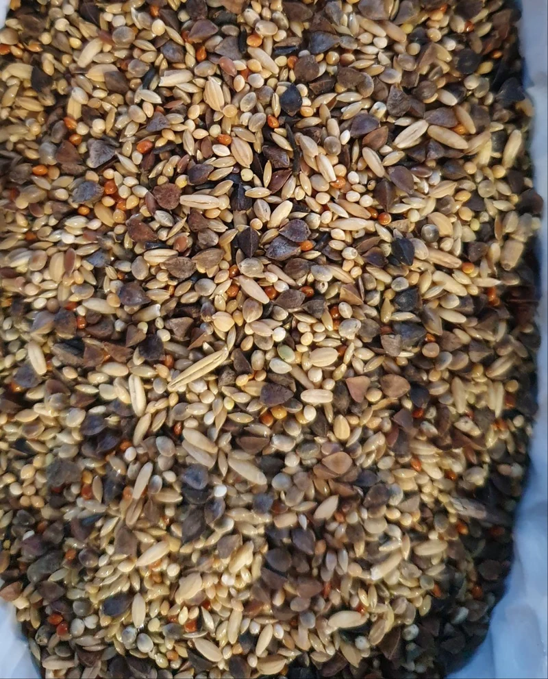 Deli Nature 71 Premium Agapornis 5kg (auto-emballé)