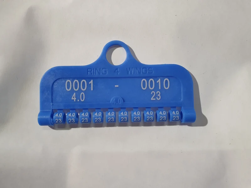 ANNEAUX ANNUELS PLASTIQUE FERME 2023 - 10pcs SUR CARTE