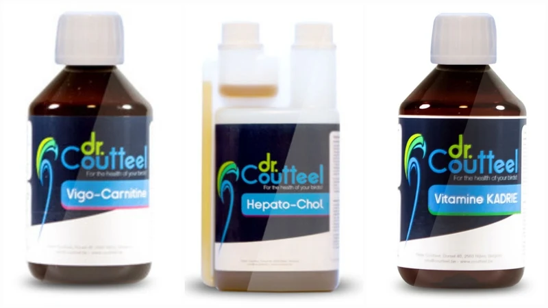 Trio d'Or - Dr Coutteel