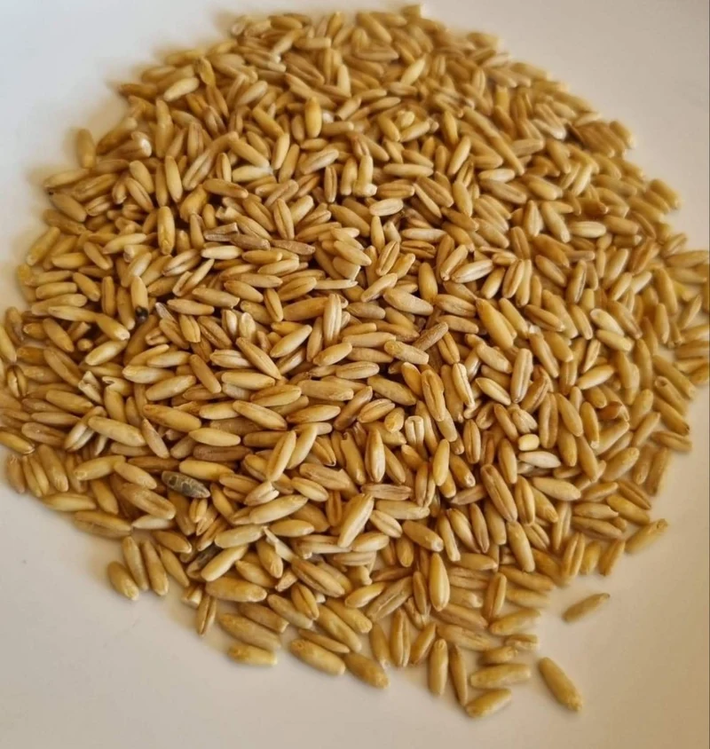 Avoine Pelée 1kg