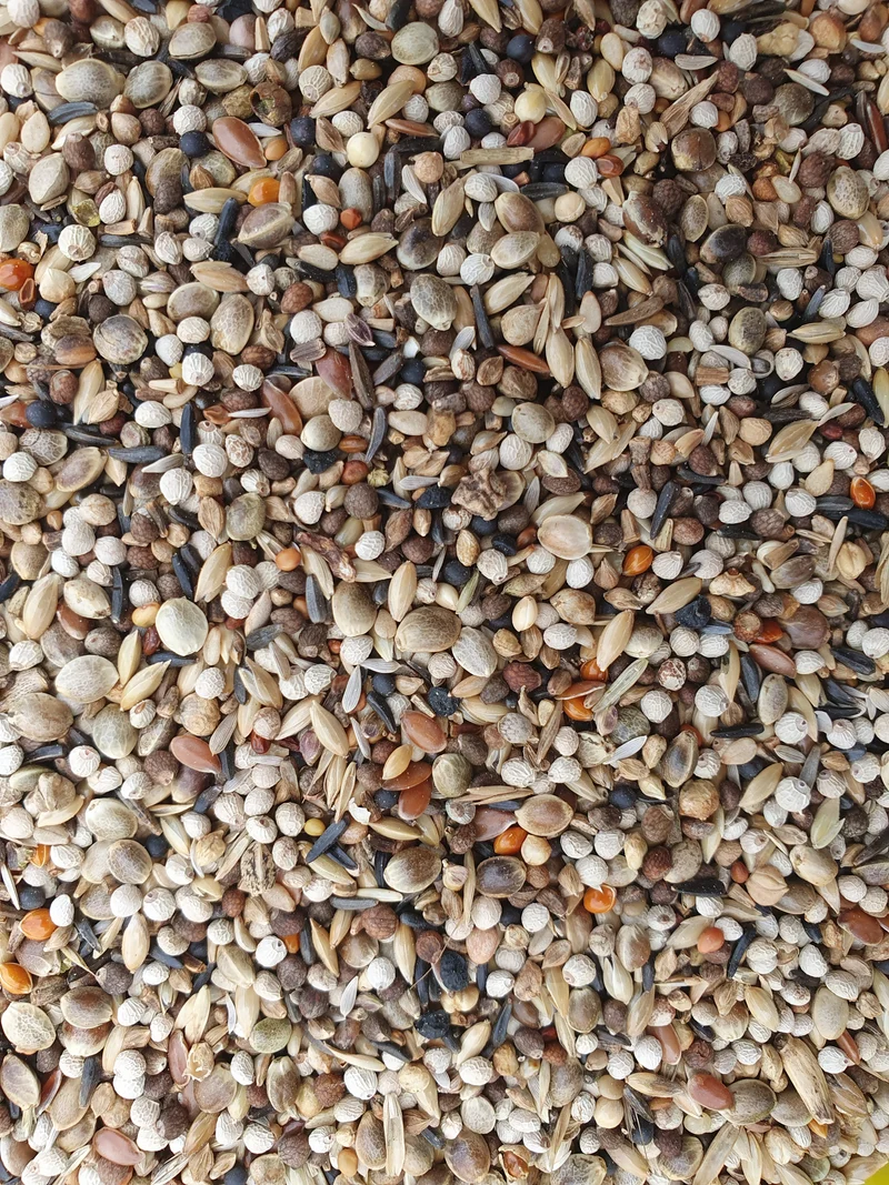 Super RE Chardonnerets 1kg - Hobbyfarm Hoebregts