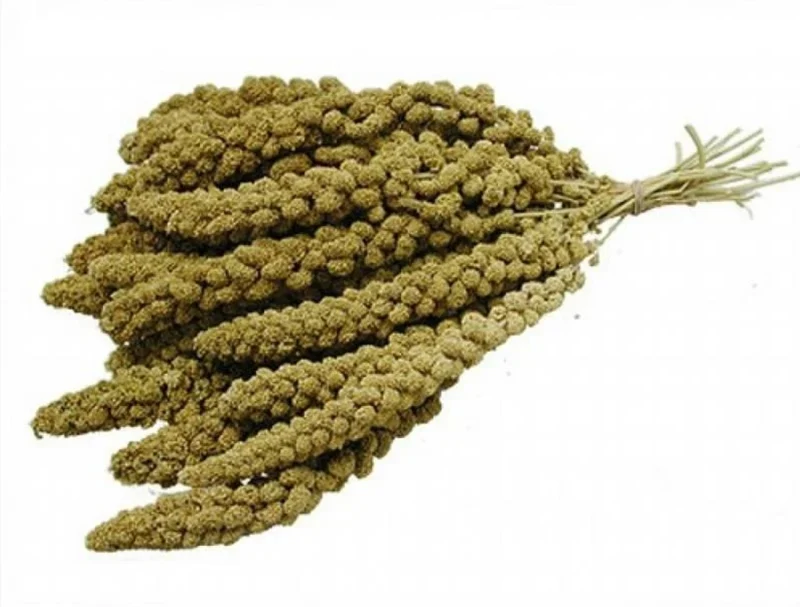 Spray millet jaune chine 1kg