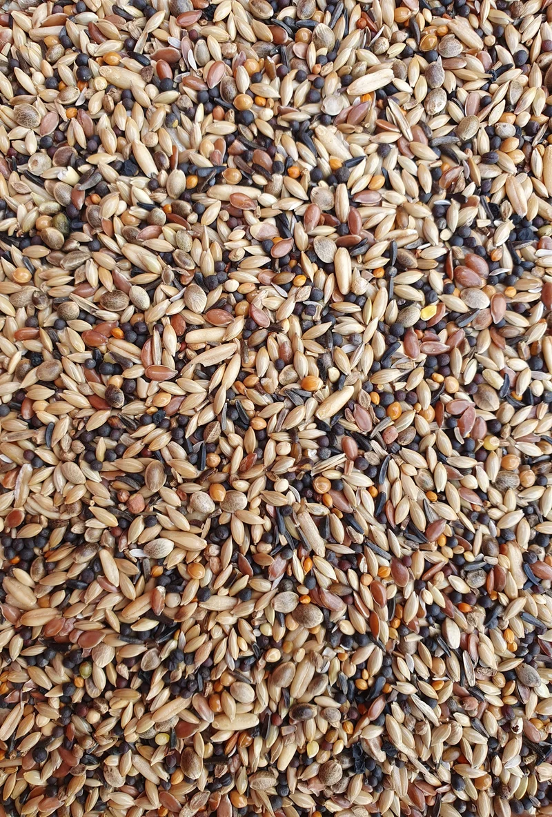 Deli Nature 91 Oiseaux d'Europe 1kg