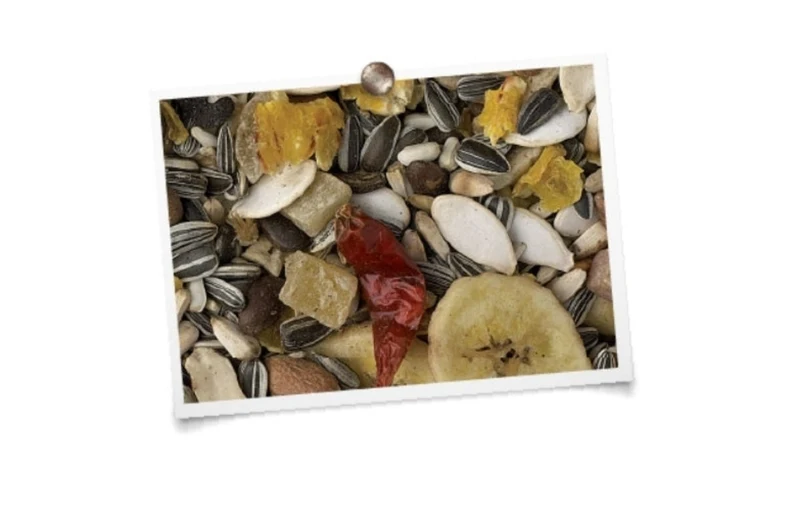 Mélange Perroquet Aux Fruits "Luxe" 1kg (auto-emballé)