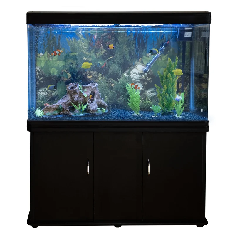 Aquarium Noir, Meuble de Support & Gravier Bleu