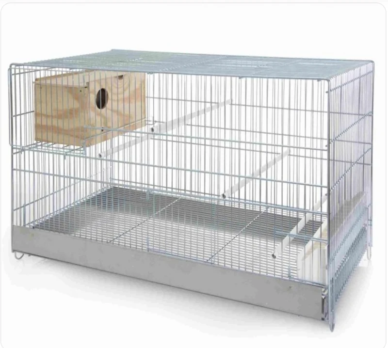Breed Cage Cova 74cm Inséparables Avec Nid