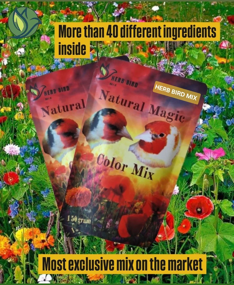 Mélange de couleurs magiques naturelles (150 grammes) - Herb Bird Mix