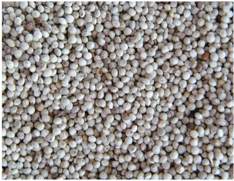 Périlla blanche 500 grammes