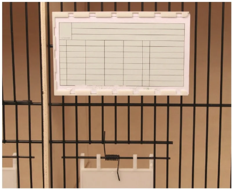 Porte-cartes Grow avec aimant