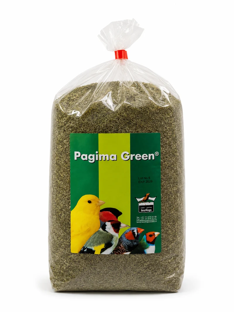 Pagima Vert 750 grammes