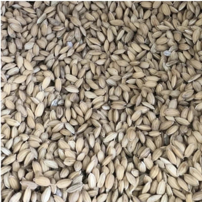Riz paddy 5kg