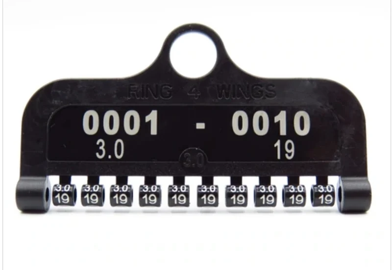 BAGUES ANNEE 2022 FERMEES EN PLASTIQUE, 10pcs SUR CARTE