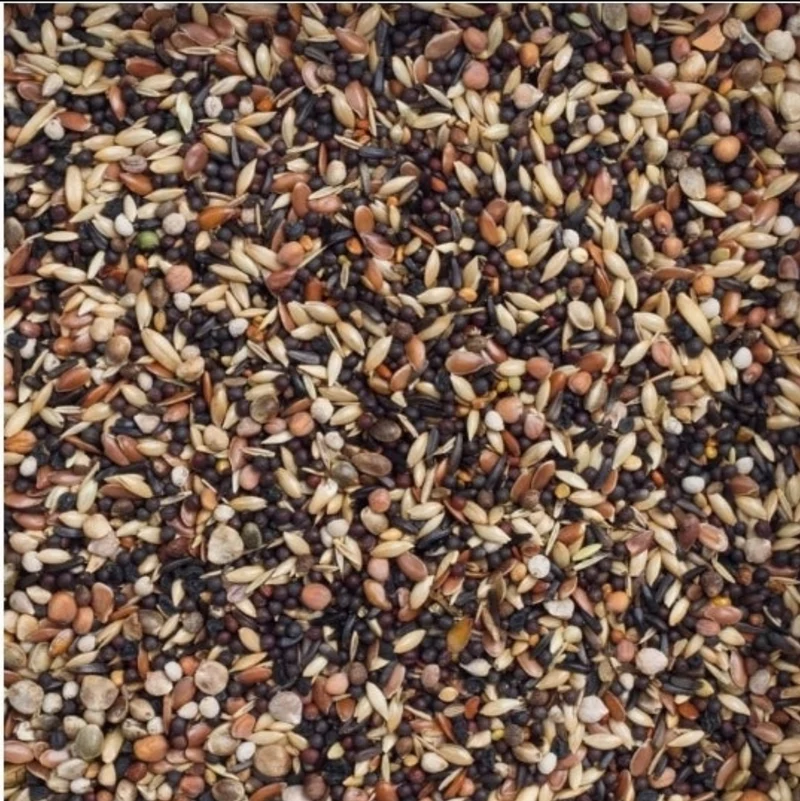 Deli Nature 99 Oiseaux Européens Basic 1kg