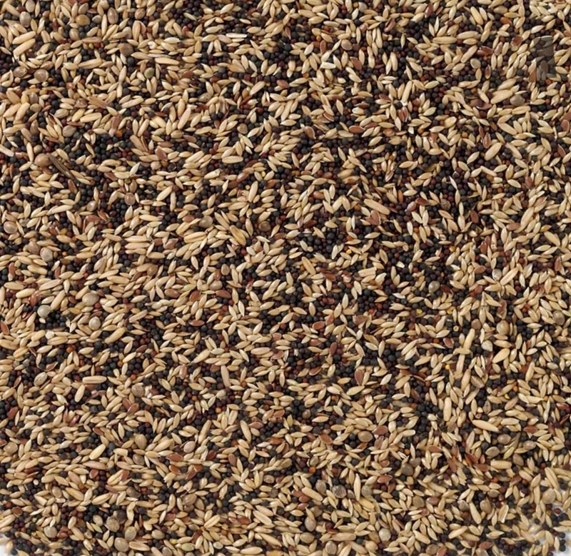 Deli Nature 50 Canary Basic 500 grammes