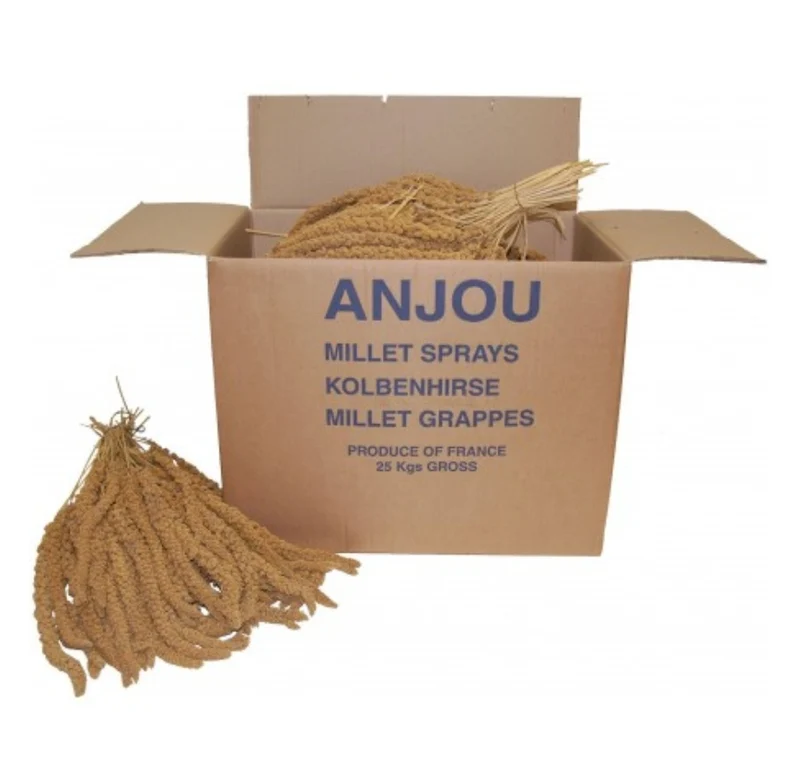 Spray Millet Jaune France Boite 25kg