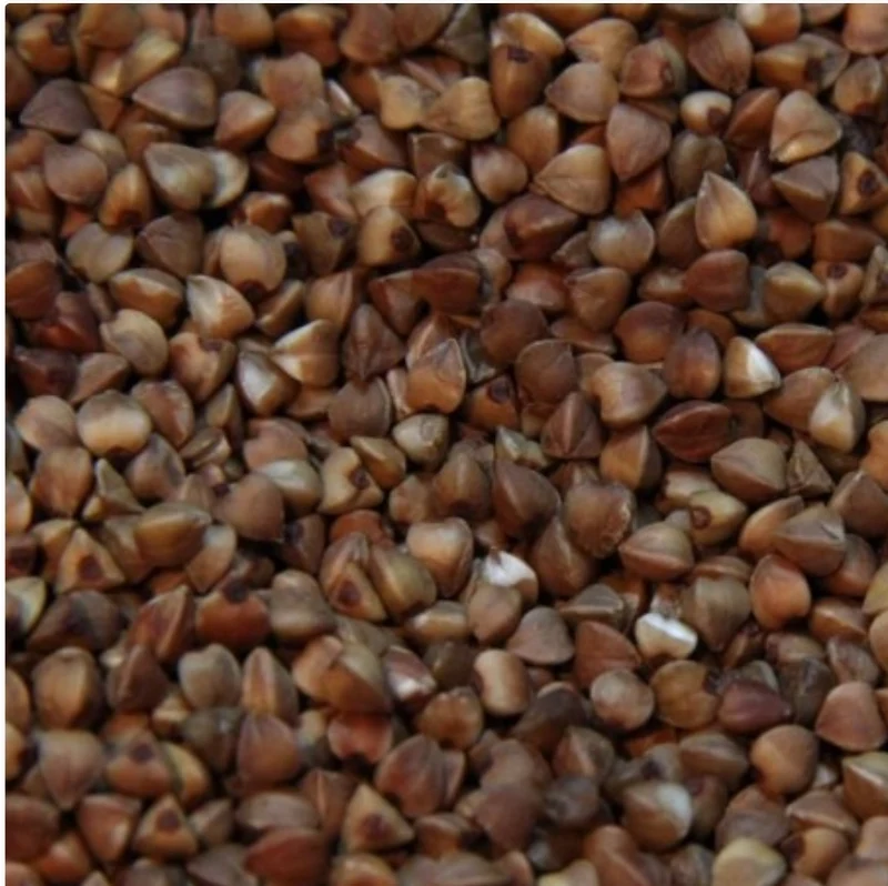 Sarrasin 20kg - Versele Laga