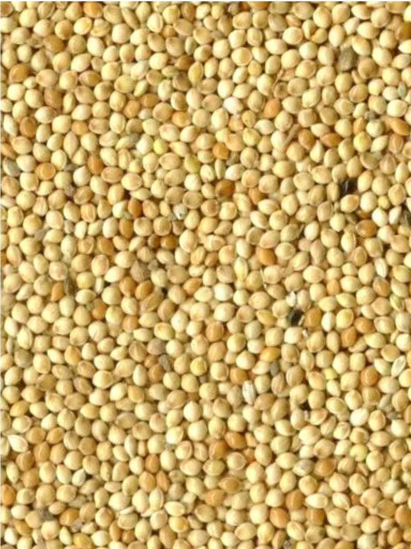 Graines rondes blanches (millet) 20kg