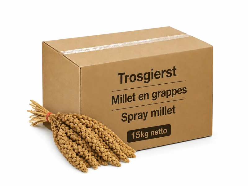 Spray Millet Jaune Chine Boite 15kg